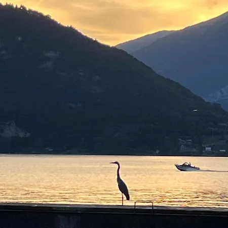The - Meravigliosa Terrazza Sul Lago! شقة